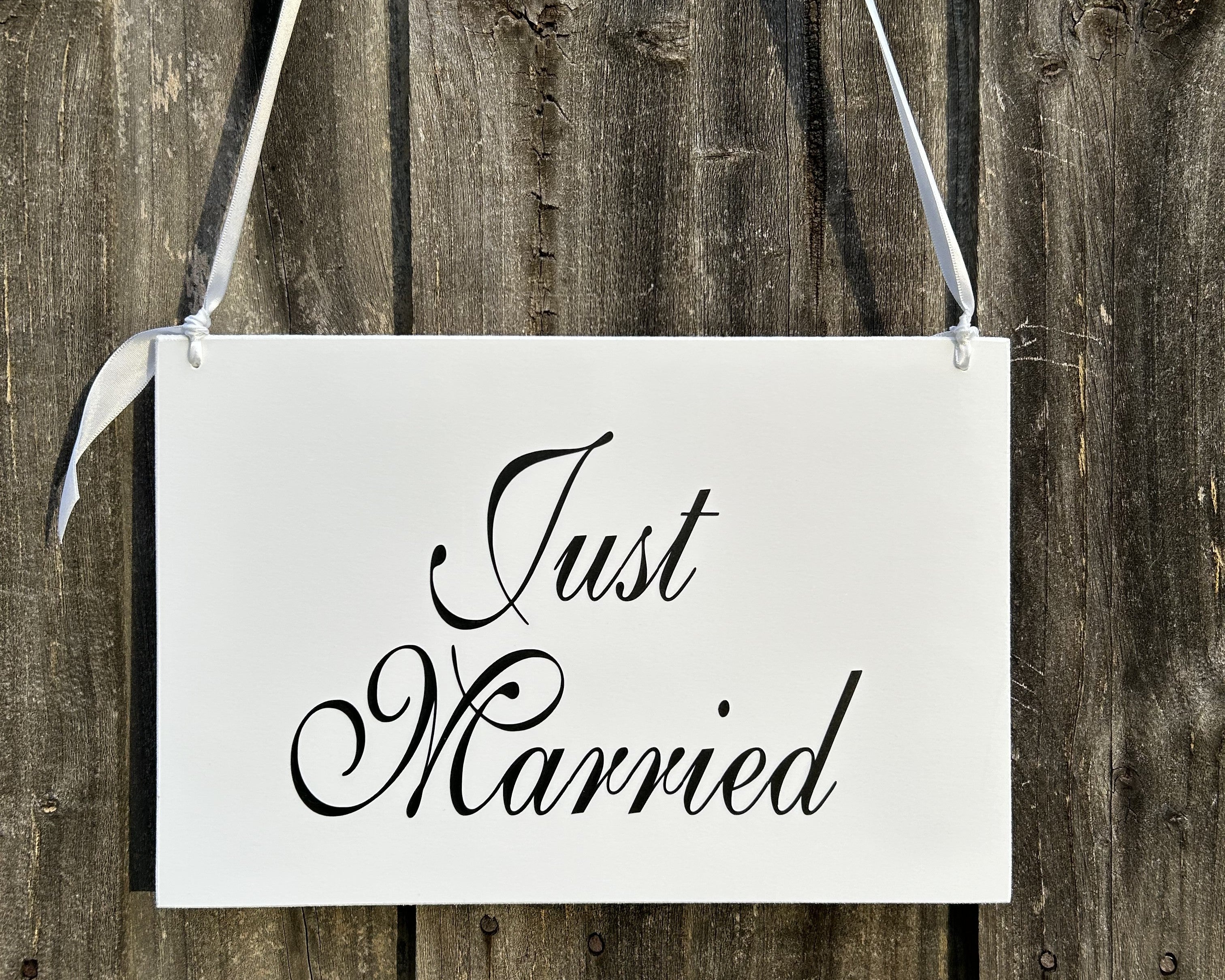 Just Married Car Wedding Sign