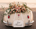 Just Married Car Wedding Sign